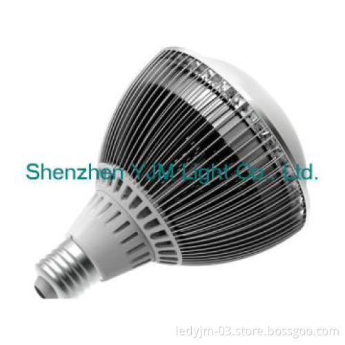 15W led bulbs for home use as PAR 38 lights